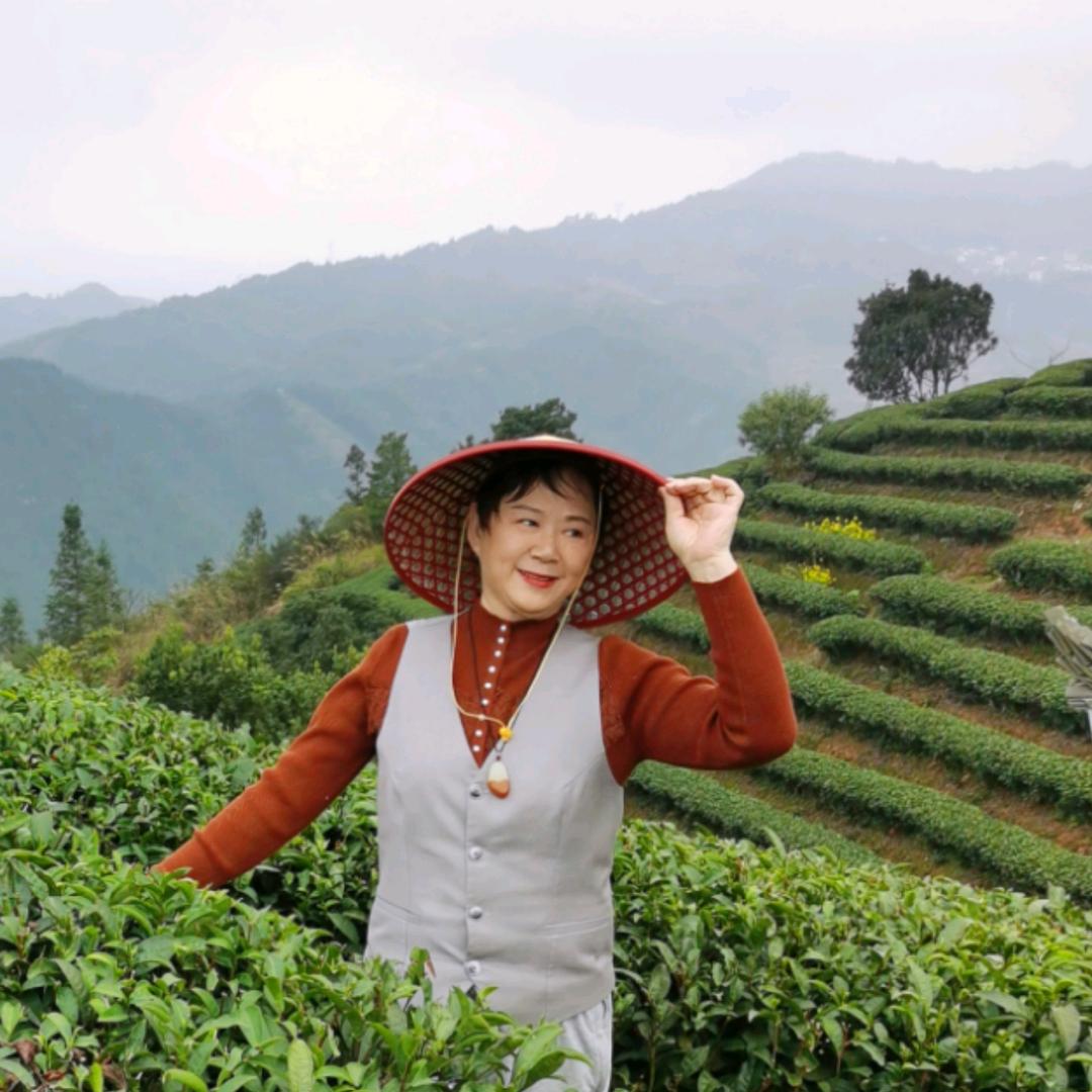 安利服务大使宁我