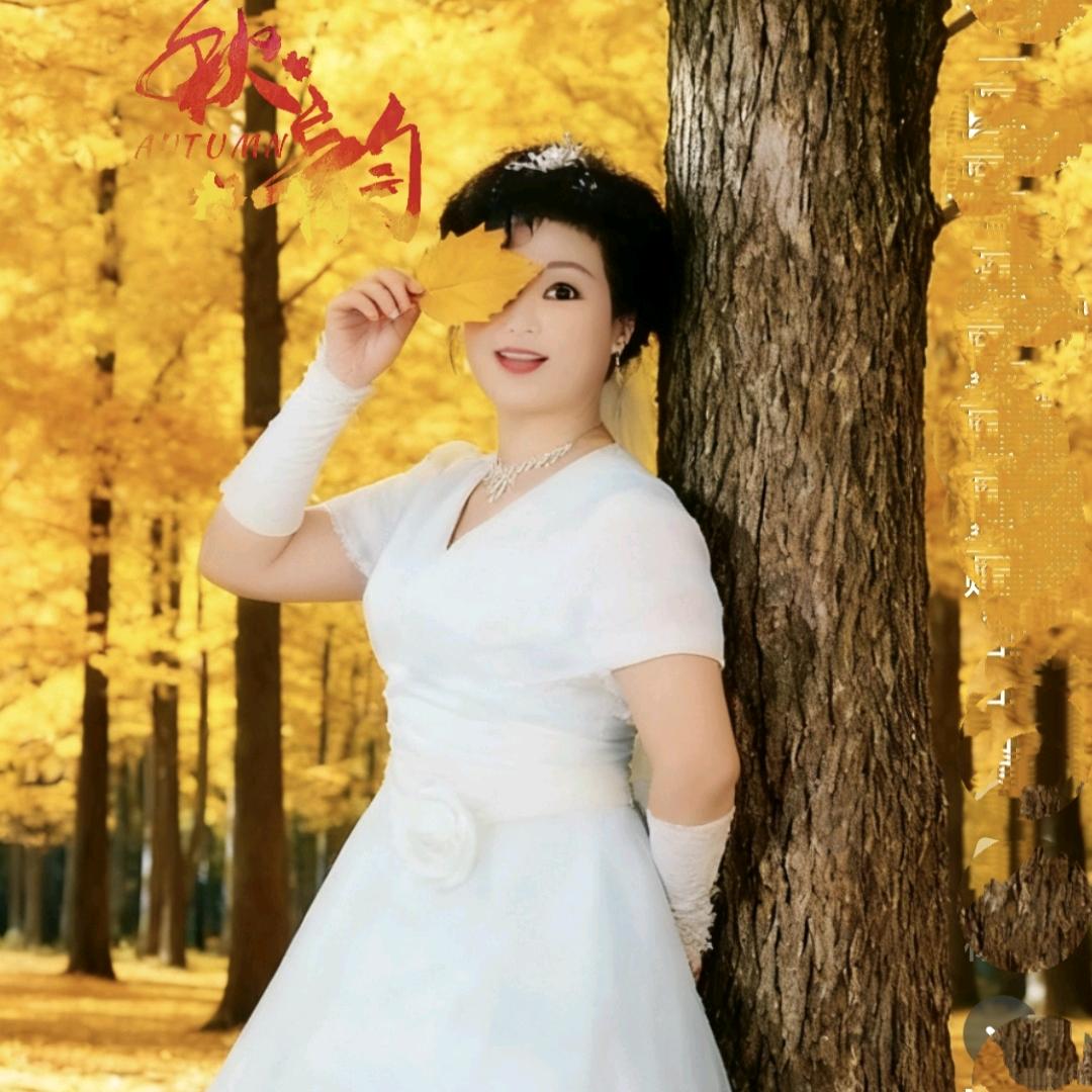 碧叶莲莲