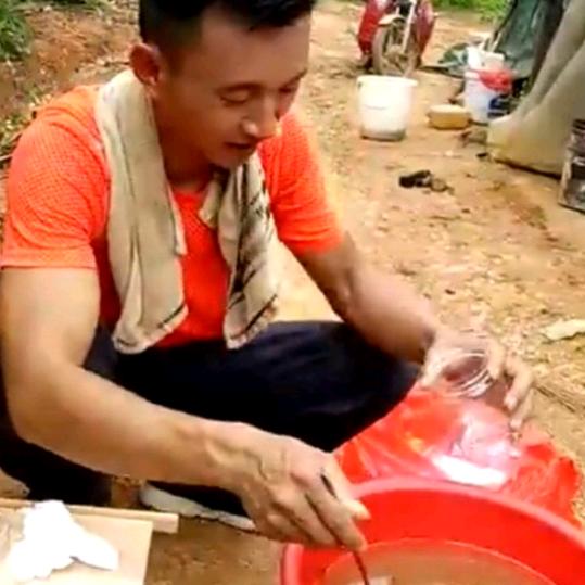 吴老嚼