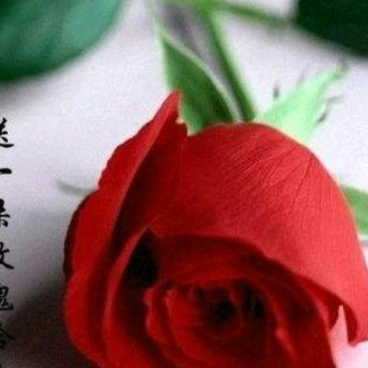 万州五桥传媒演出有限公司