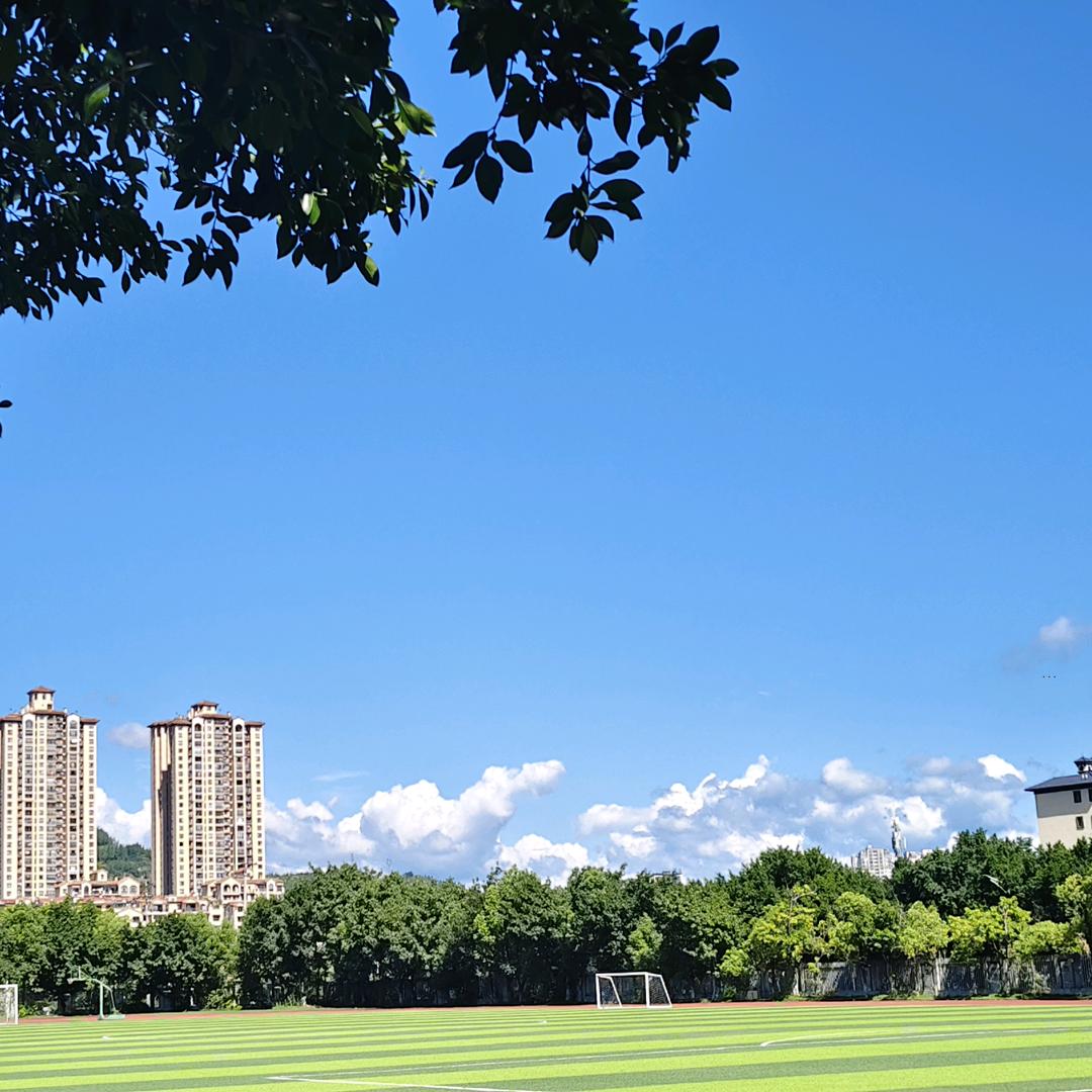 哈哈呵呵嘿嘿呵呵哈哈