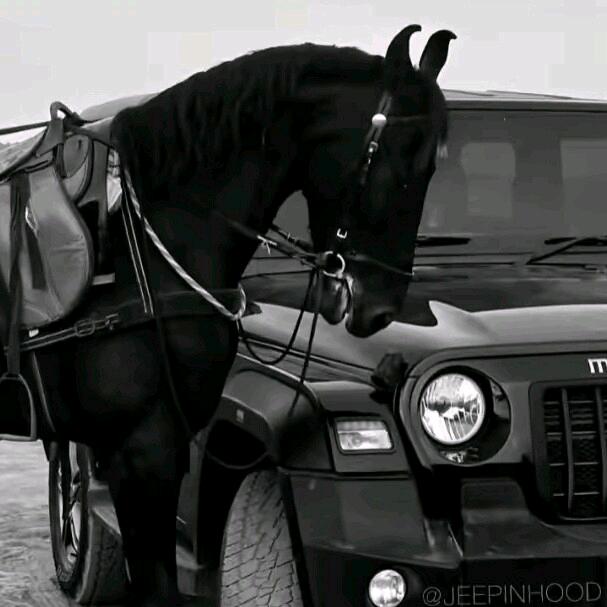 སྟར་ཀ་🔱