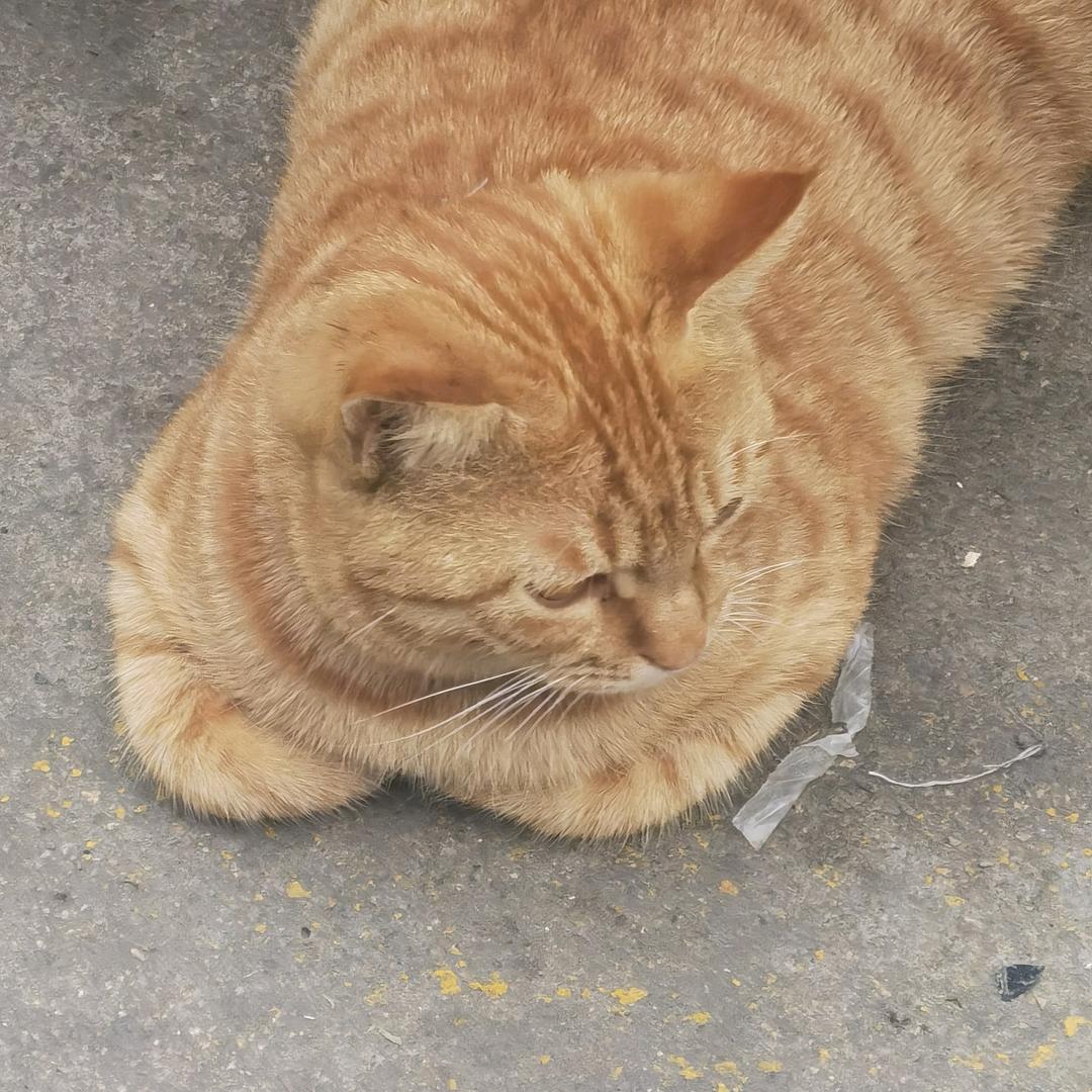 暖暖
