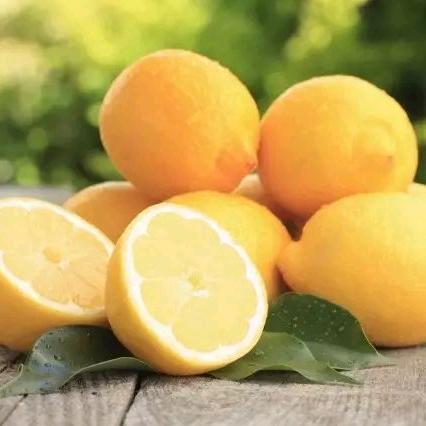柠檬🍋🤖①