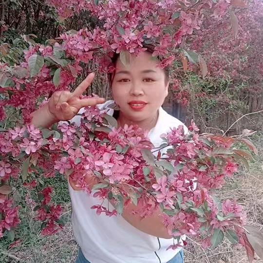 皓妈侯姐