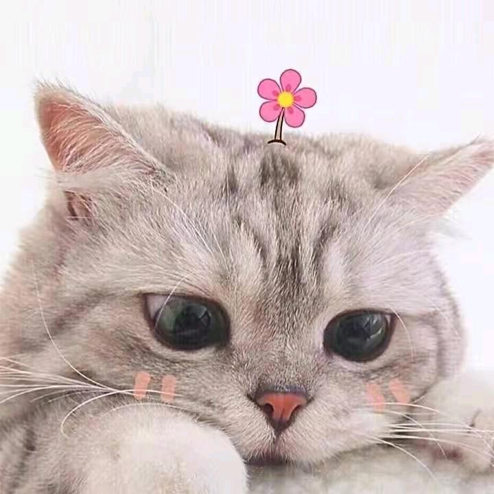 瑶
