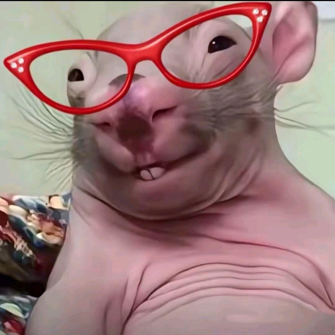 阴暗小老鼠