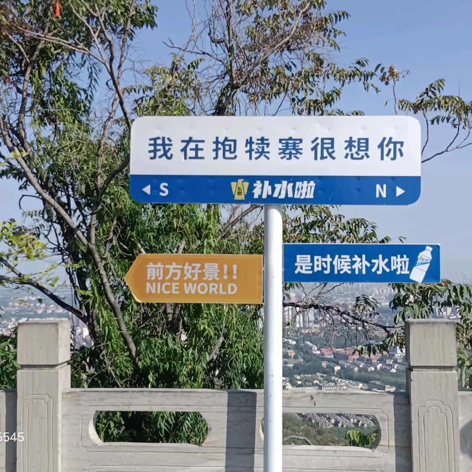 世界真奇苗