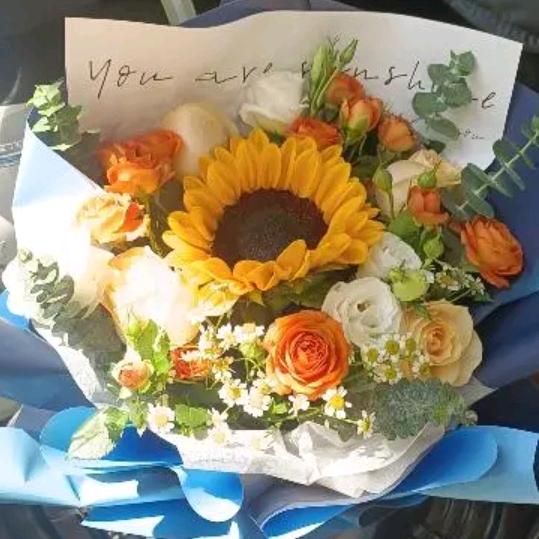 中考物理田老师