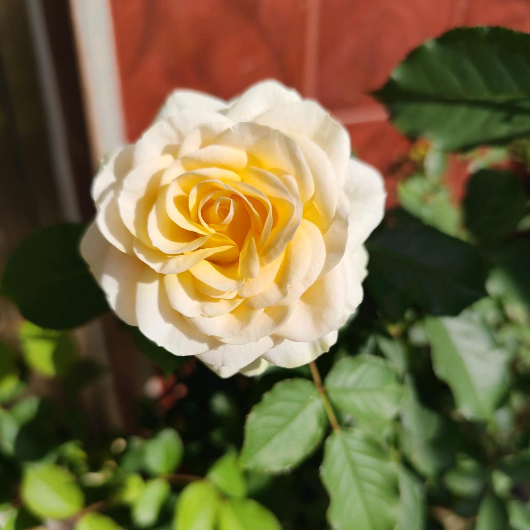 快乐家人！幸福美好