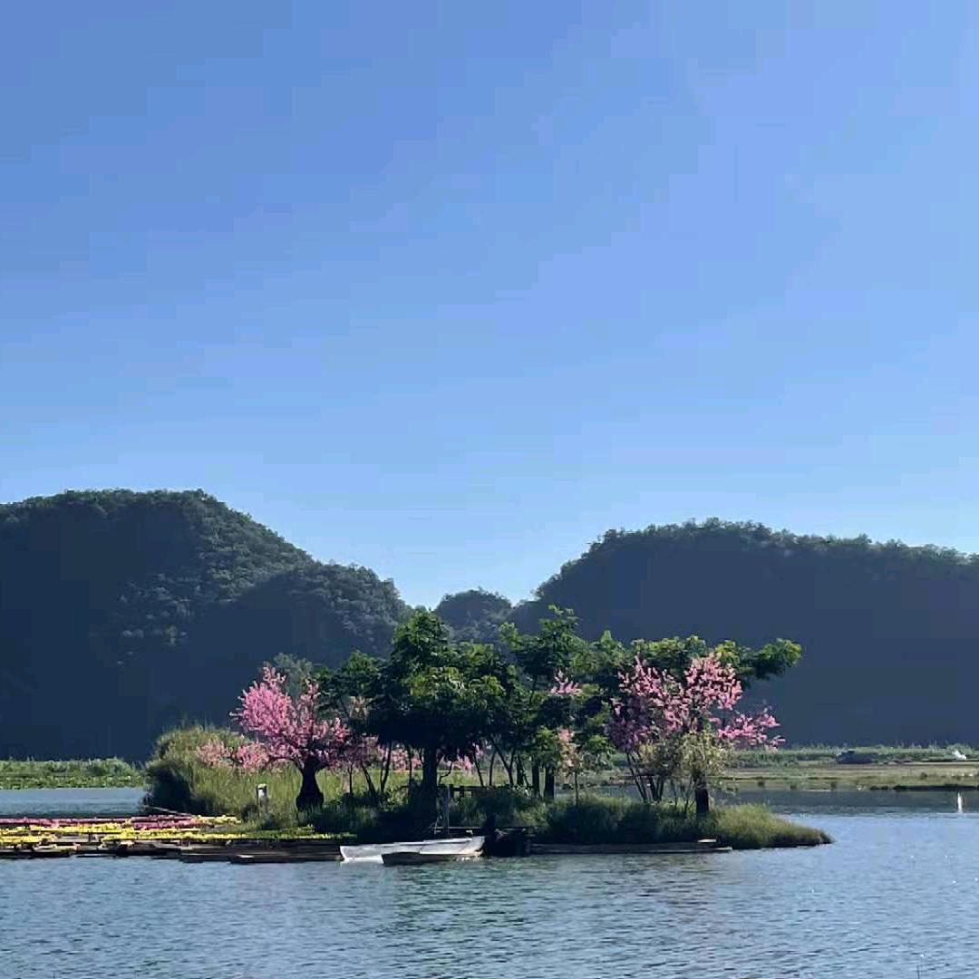 有口哥🐋🐋🐳🐳🐬🦈