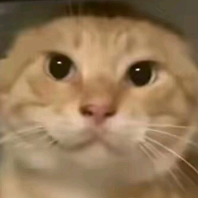 老师，我太想进步了