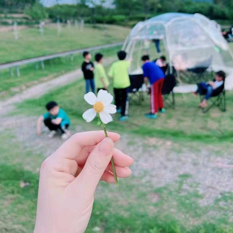 小吴甄选