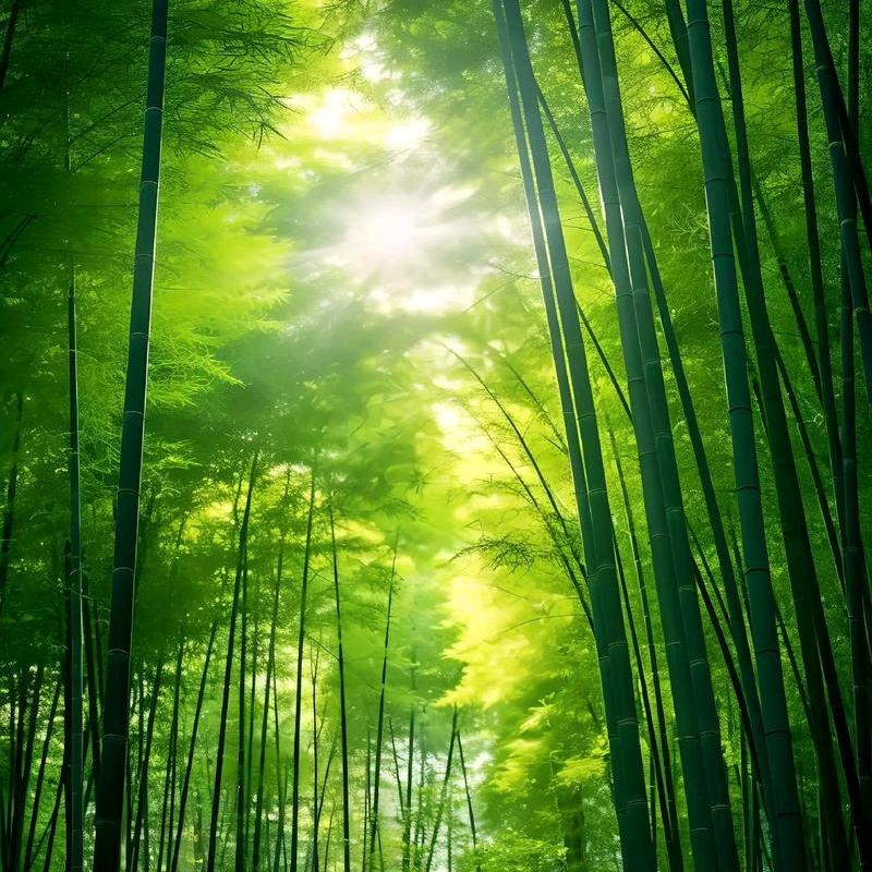 竹上开花