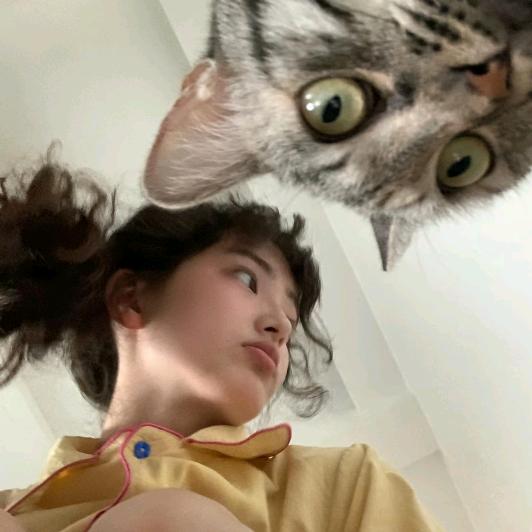 卷卷