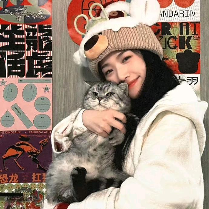 平面直角坐标系