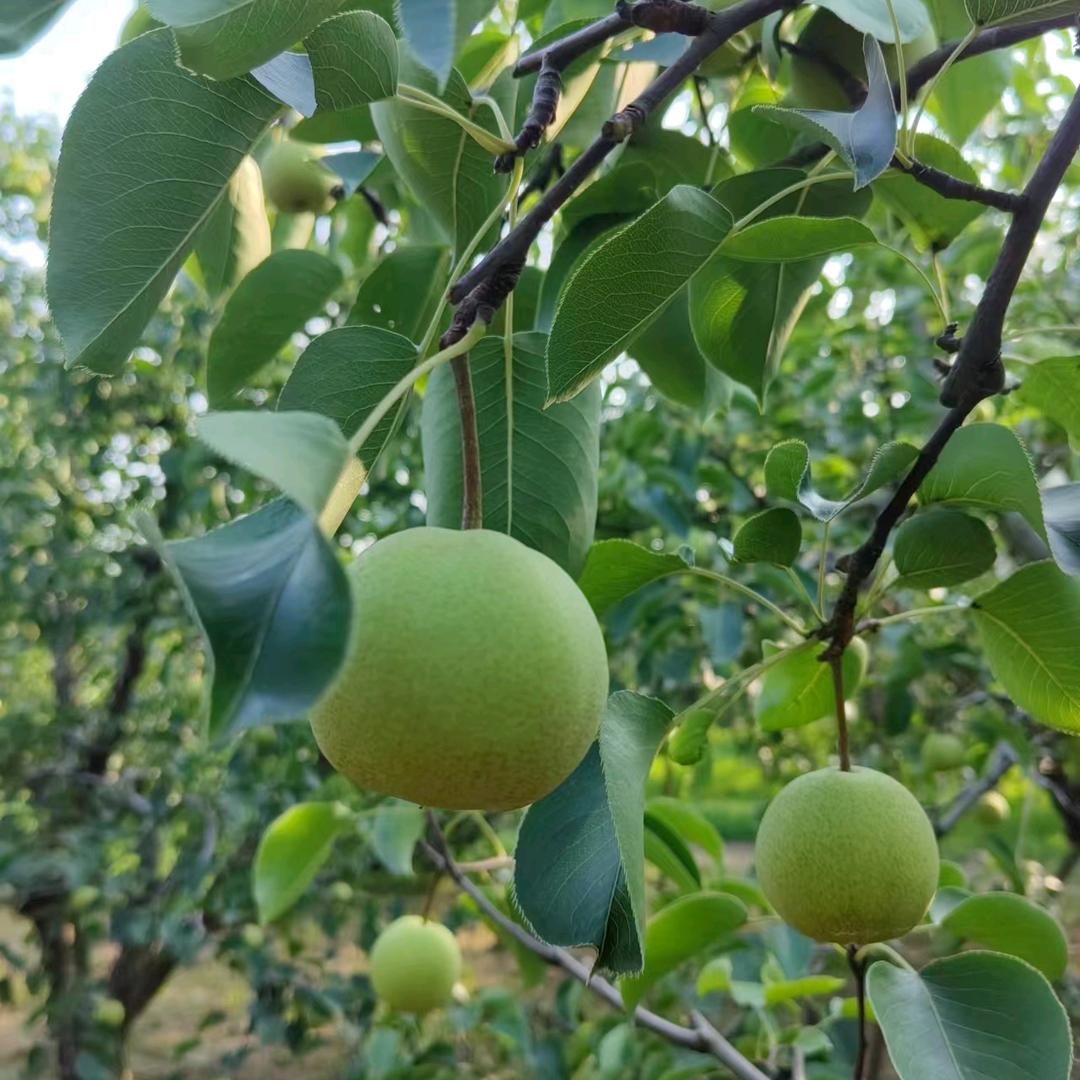 珍惜眼前，忘掉过去