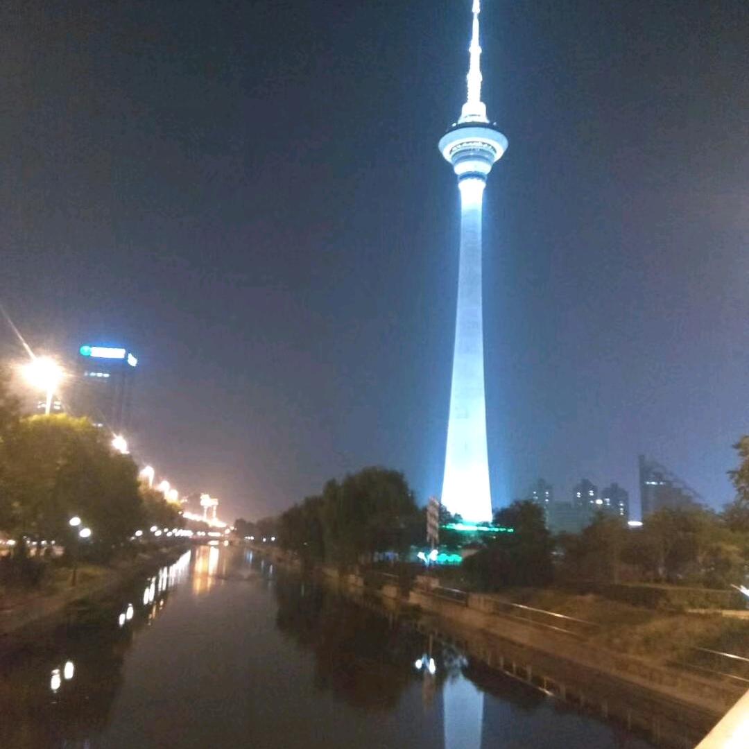 一颗大树