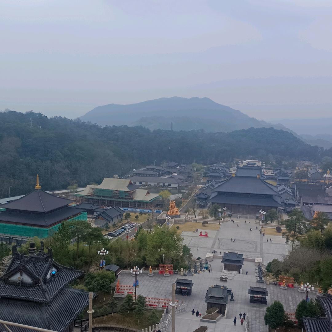 金八妹