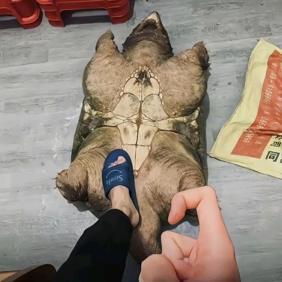 喜欢开英菲尼迪的男人