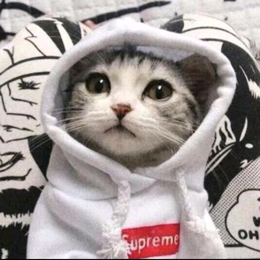 ✨七月与你相遇✨