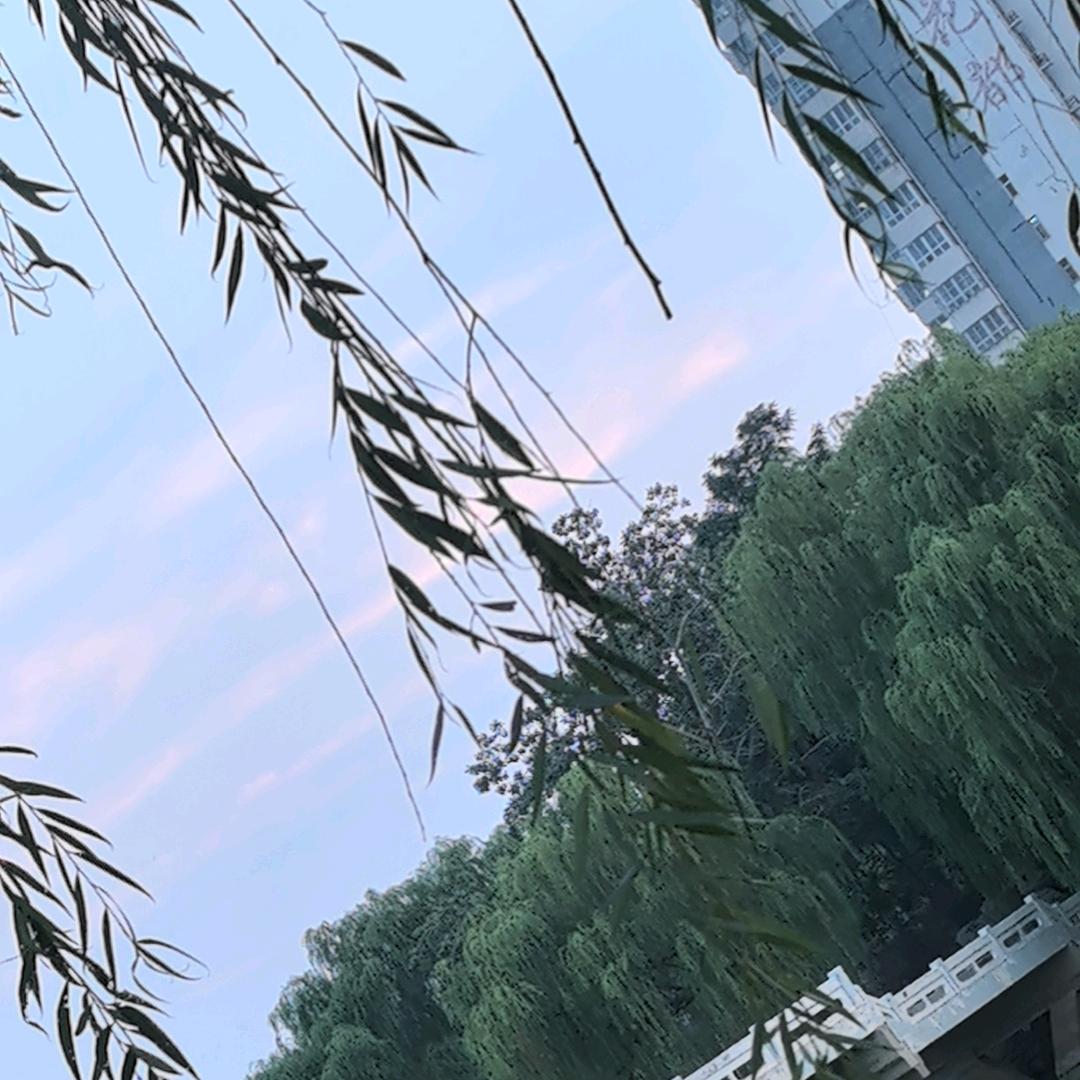 道法自然