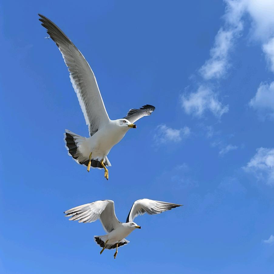 北海不是海