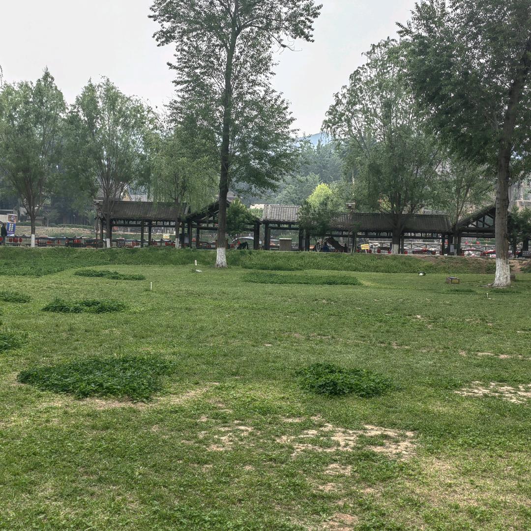 一个蛋子的驴