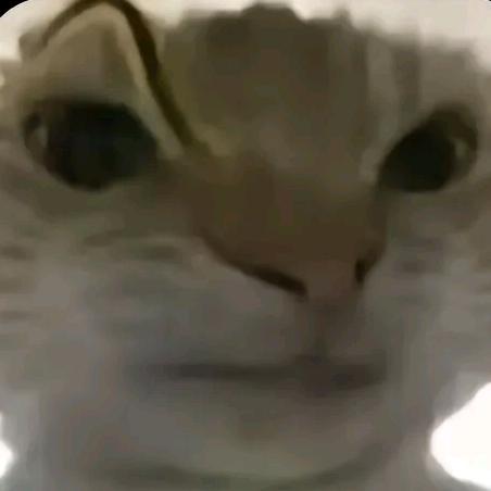 竞镜电竞俱乐部