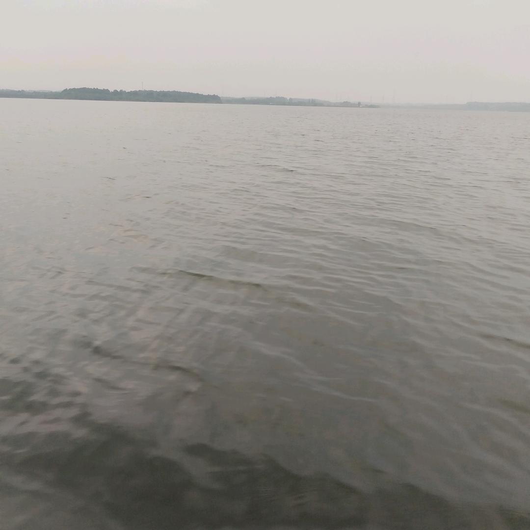 魏你而来