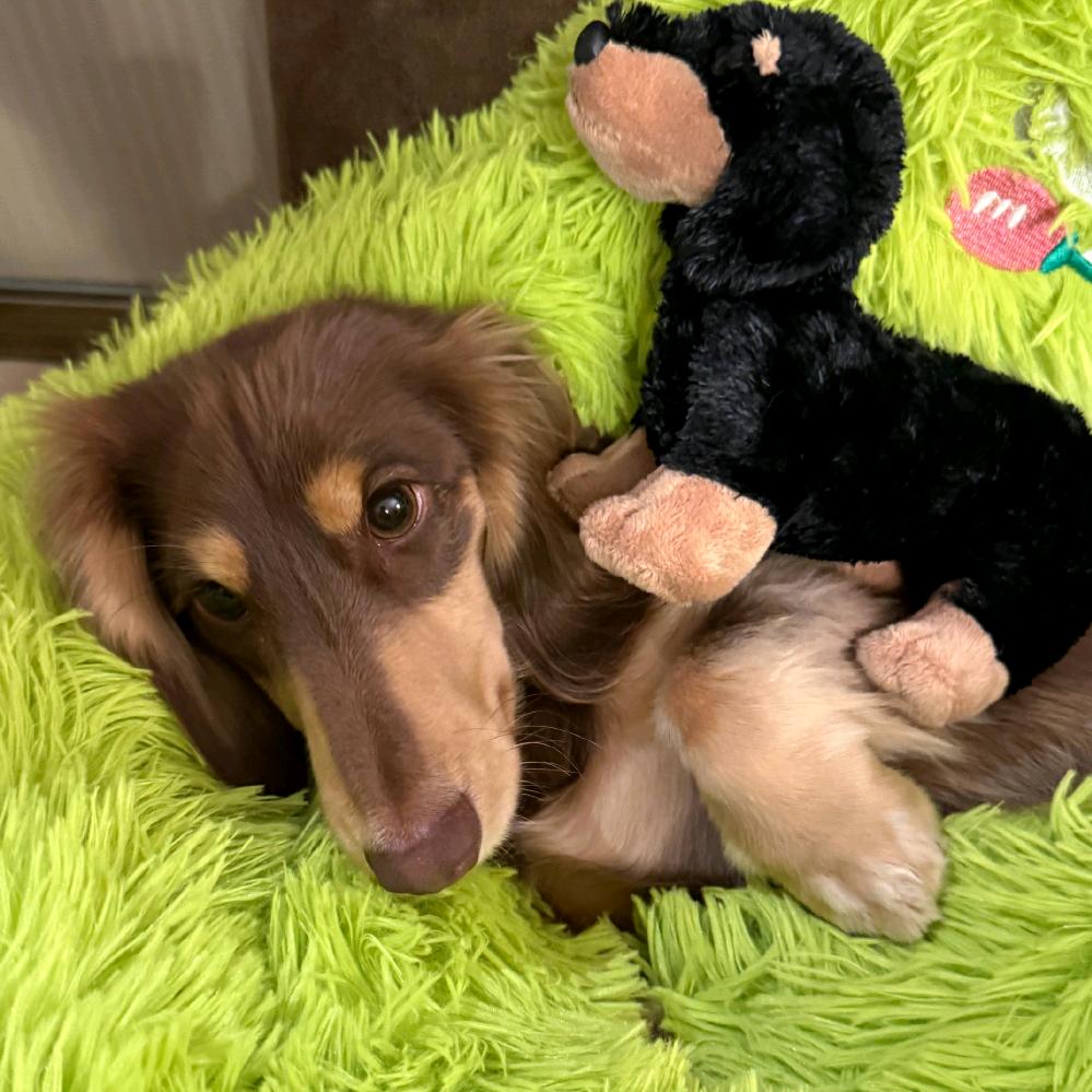 颂闻听七雨（见过周兴哲版）