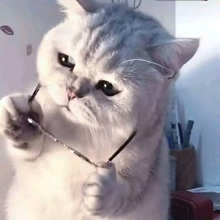 王稀奇啊！