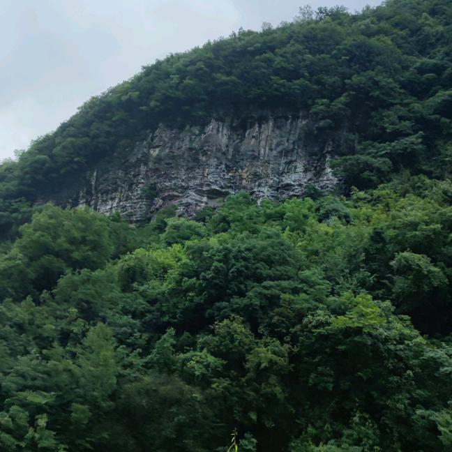 四海唯家