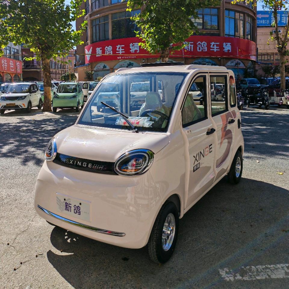 民权新鸽总经销