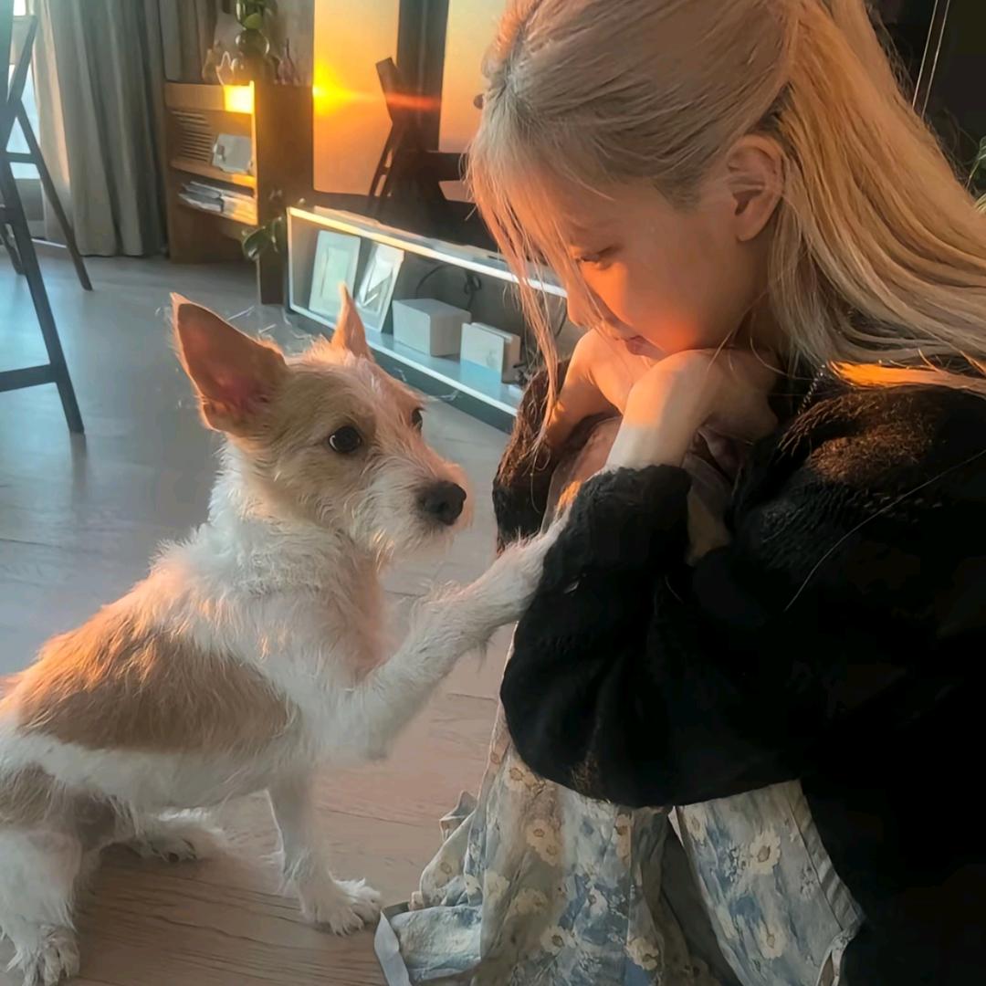 ʰᵉˡˡᵒ𝙠𝙞𝙩𝙩𝙮