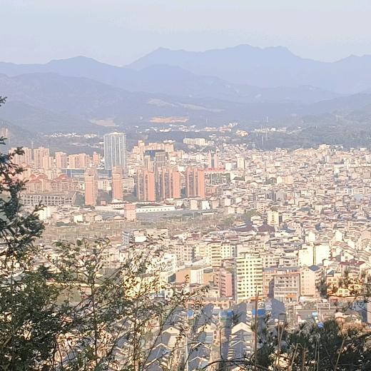 小小鸟爱钓鱼