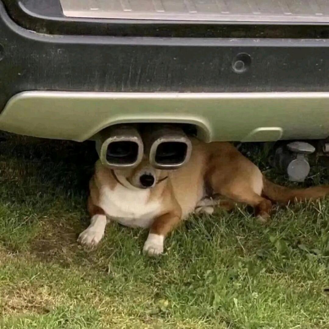 我吃我吃吃吃吃吃吃吃吃吃吃吃吃吃吃吃吃吃