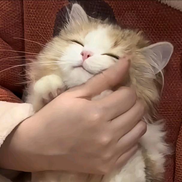 之興