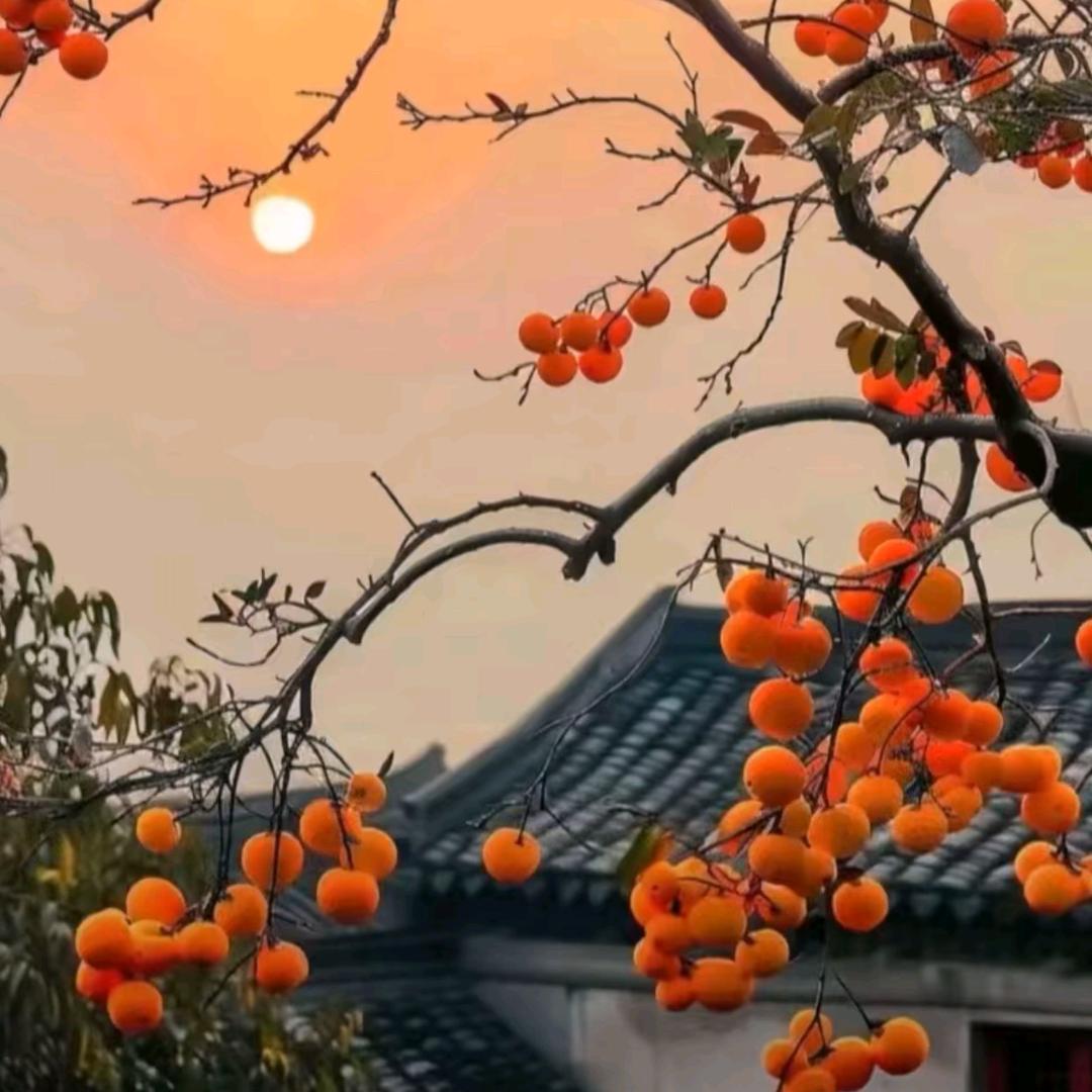欧盛资产（收售不良资产）