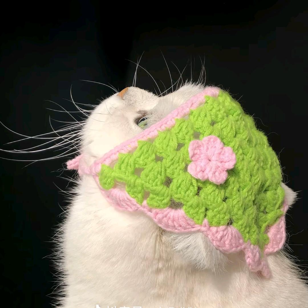 喵～
