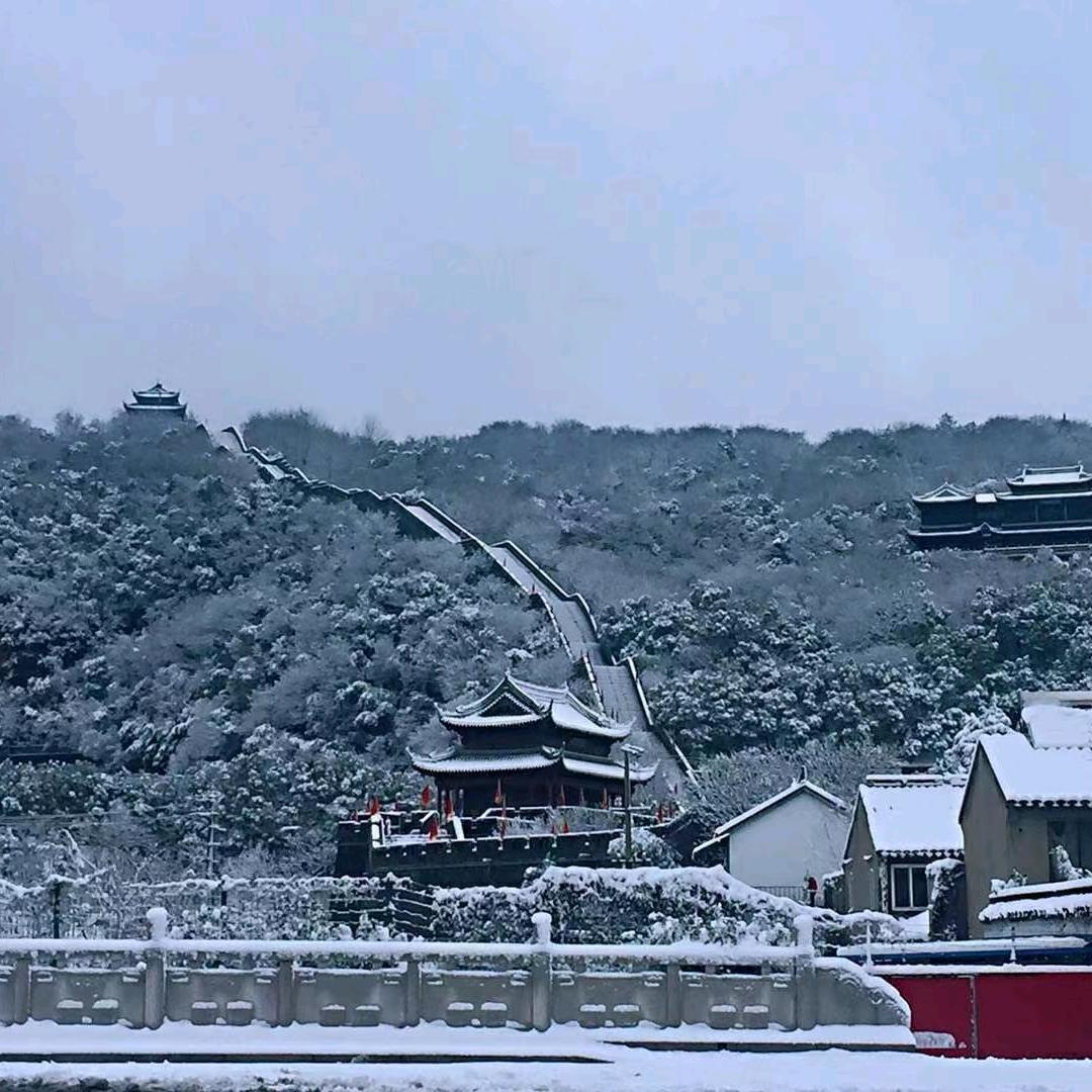 一路相伴