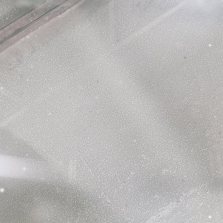 人生没有完美