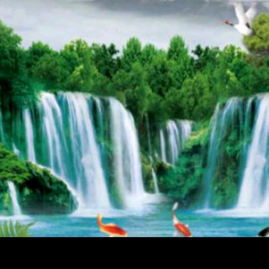 人过留声，雁过留鸣