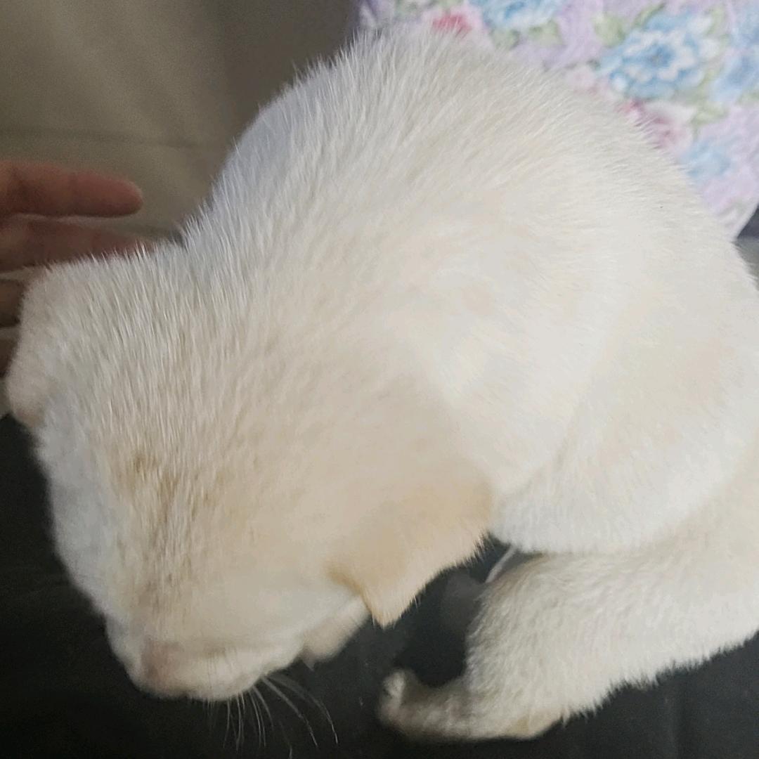 用户3945362521786