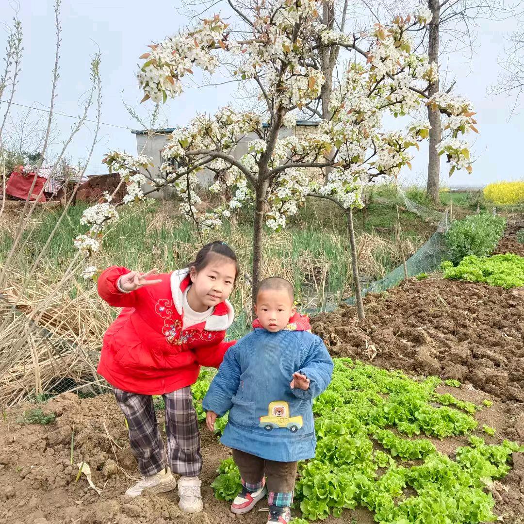 一叶知秋互动涨粉