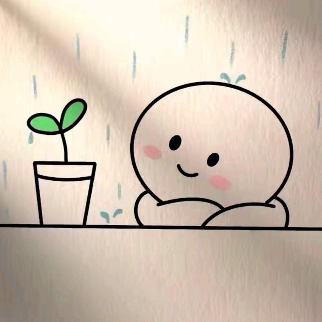 四叶草🍀（禁止🚫连赞，连赞拉黑）
