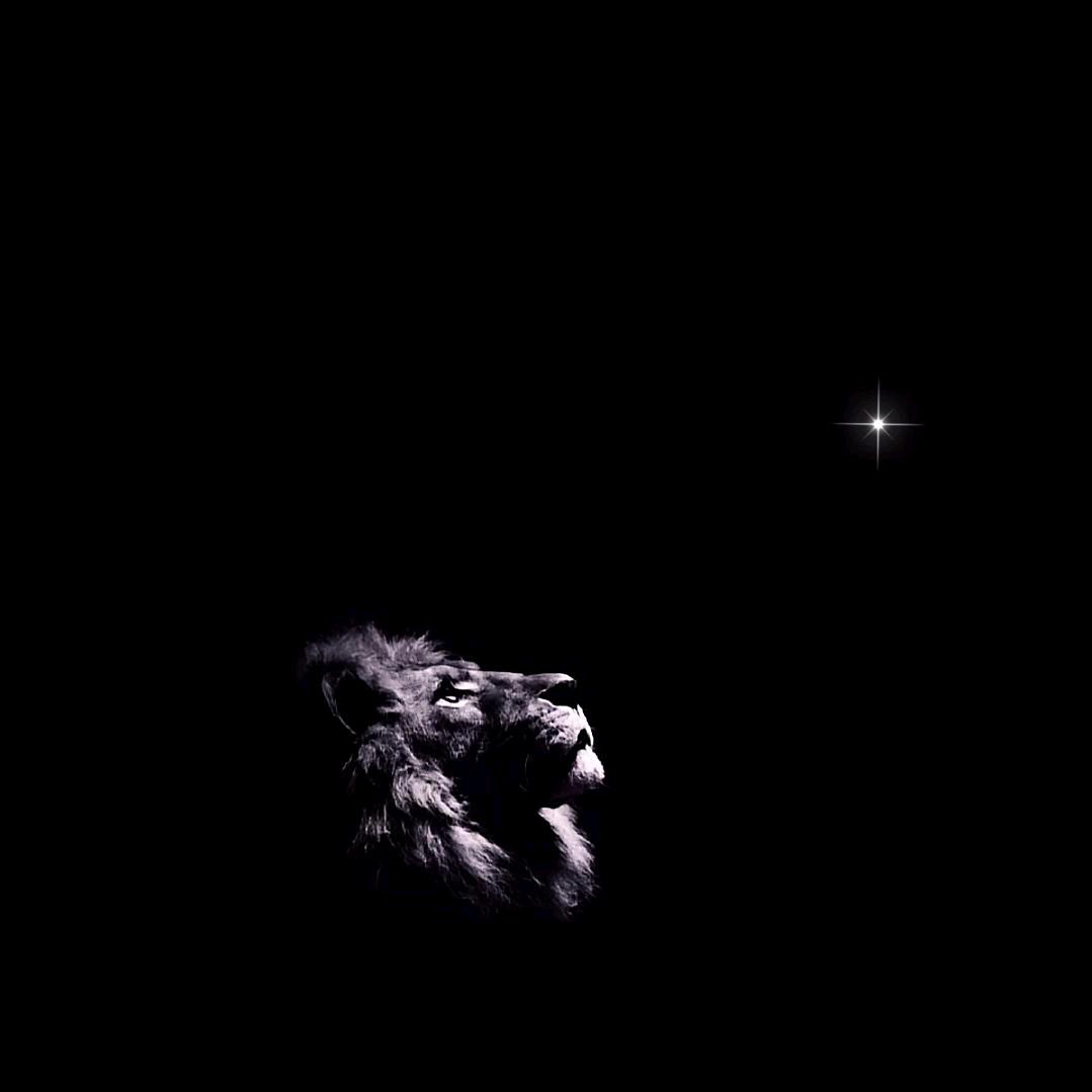 『夨·坕』