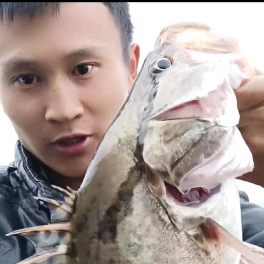帅婆路亚