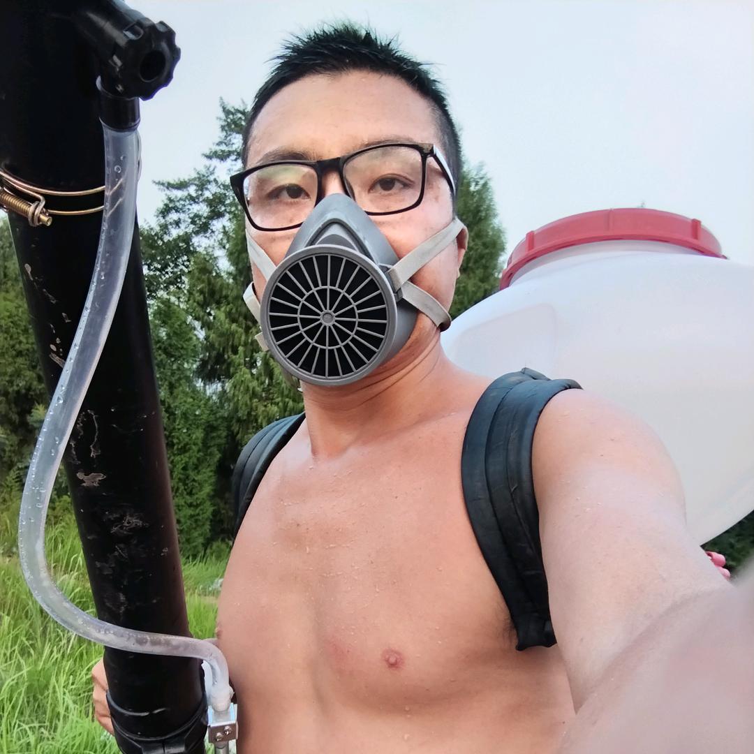 两只果狸