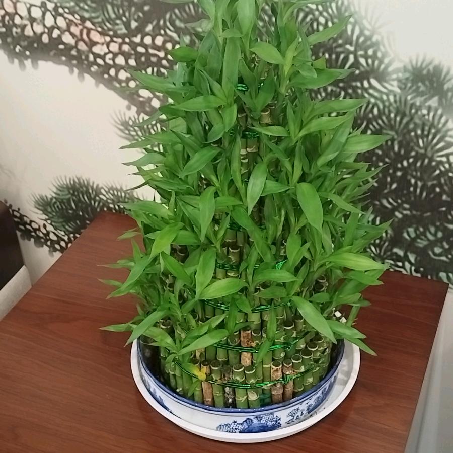 暗室拾光
